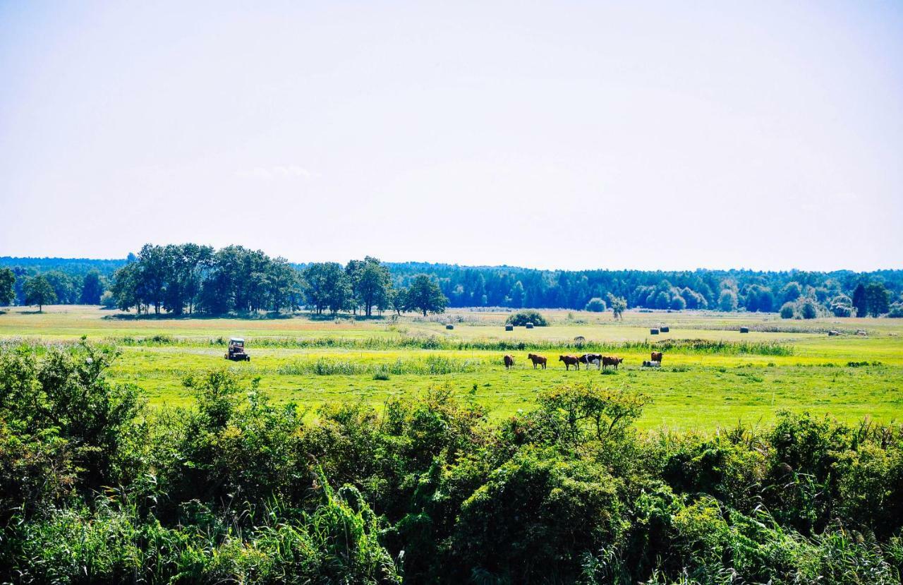 Zwirowa Gora - Domki Nad Narwia Tykocin Exteriör bild